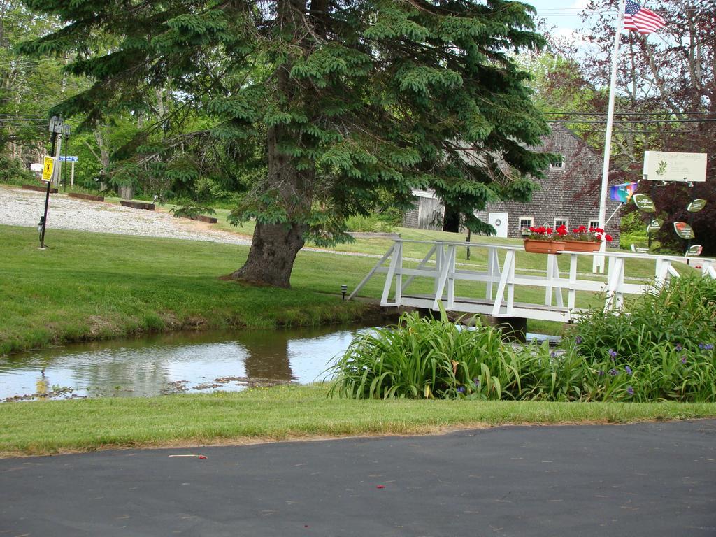 Bay Leaf Cottages & Bistro Lincolnville Exteriér fotografie